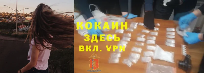 Cocaine VHQ  где можно купить   Верхотурье 